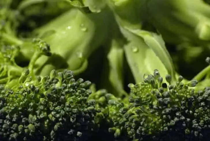 how to gain weight on a vegan diet