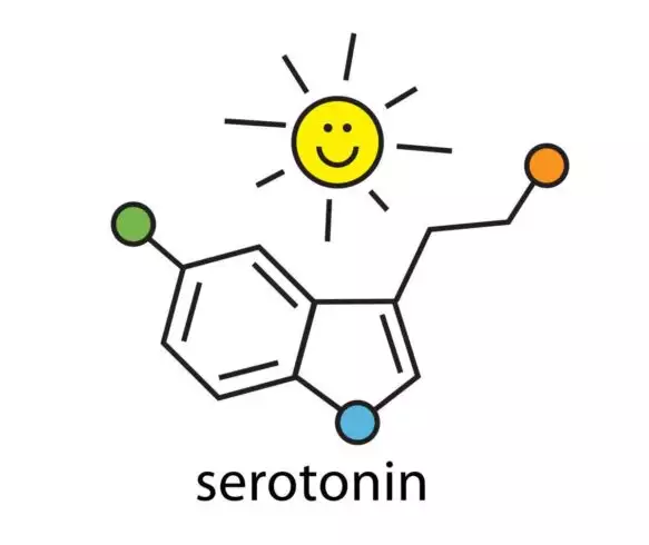How to Increase Serotonin Naturally: 6 Best Ways to do so 1 How to Increase Serotonin Naturally: 6 Best Ways to do so 1