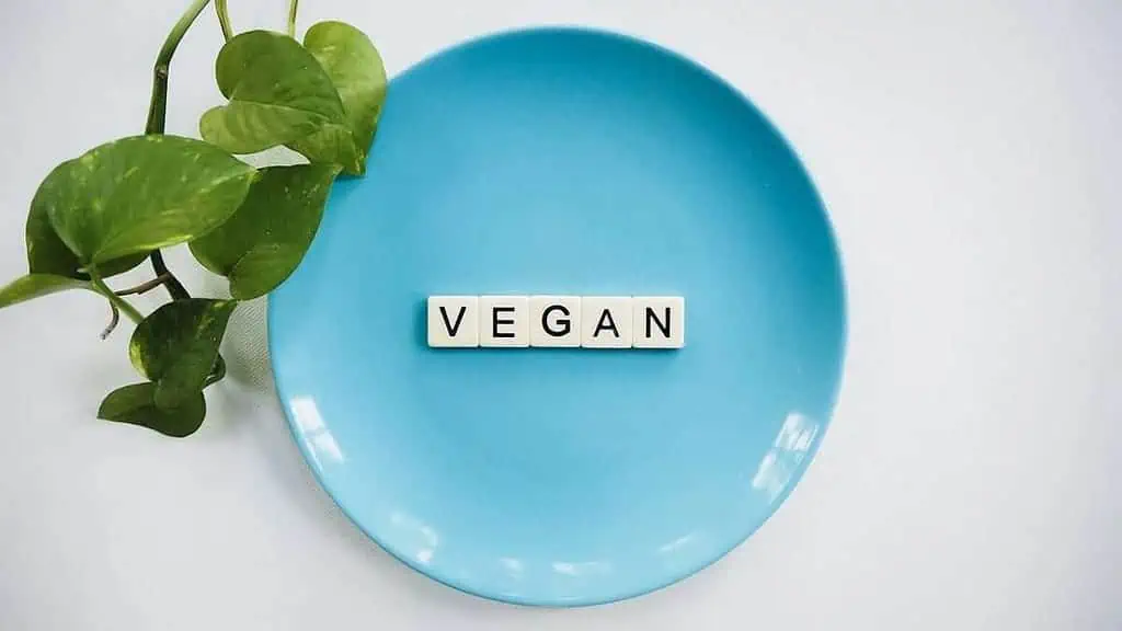 how to gain weight on a vegan diet