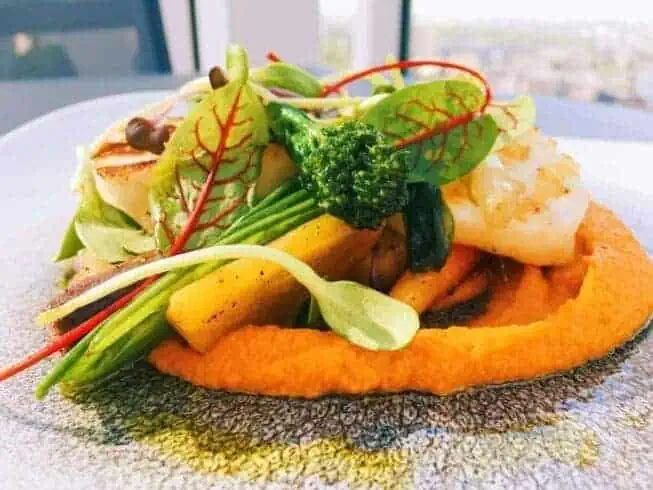 plant based foods