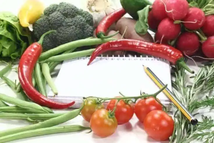 taking notes on vegetable and their properties
