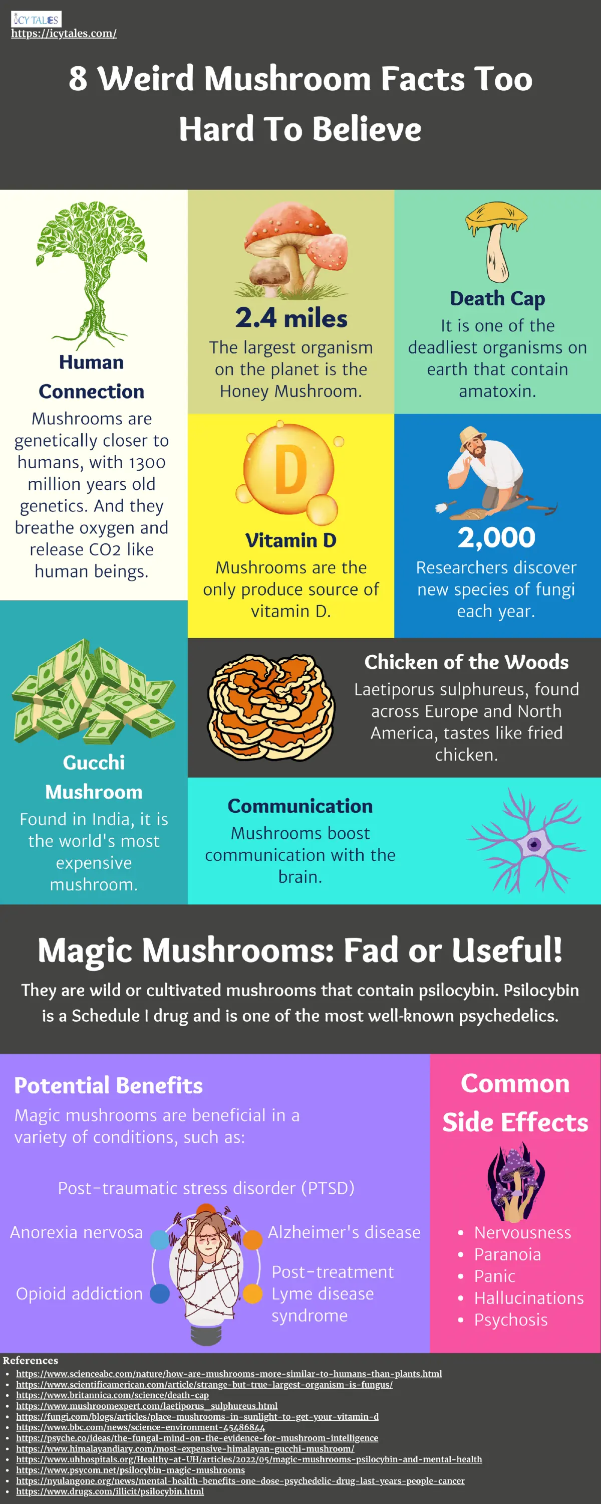 How to Know if Mushrooms Are Bad: 10 Fascinating Facts 5 8 Weird Mushroom Facts Too Hard To Believe