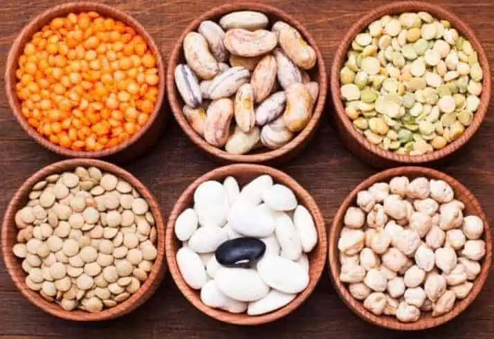vegetable proteins