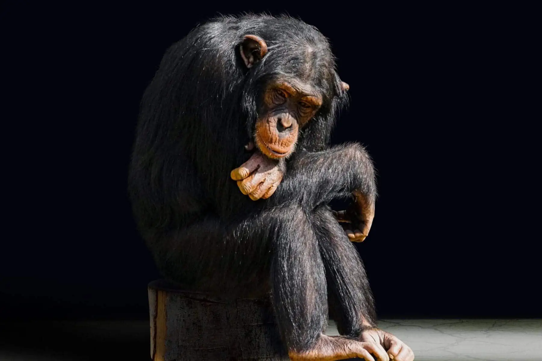 Who Was The First Person On Earth? 3 Fascinating Theories 3 Who was the first person on earth