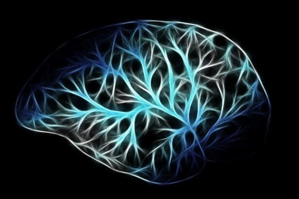 Nervous System Facts