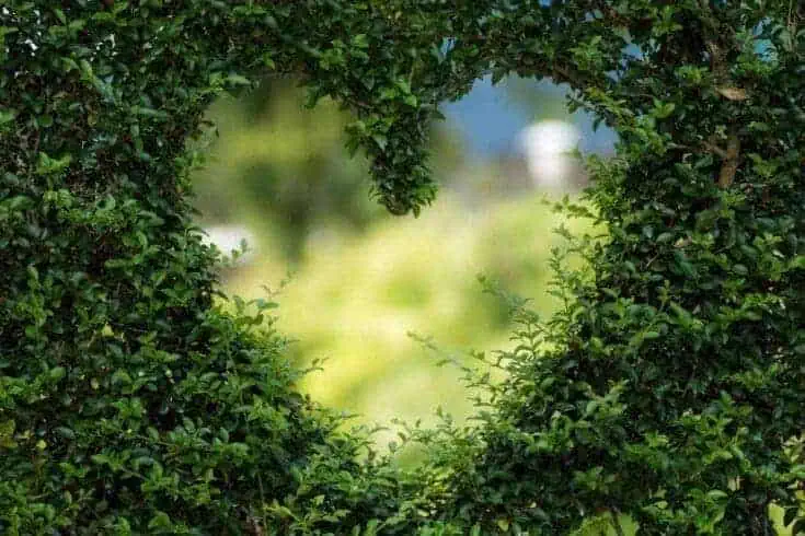 symbol of love 