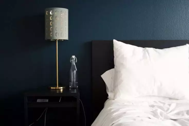 hotels near Busch Garden