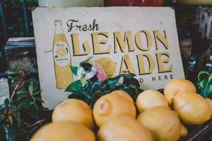 How To Make Lemonade With Lemon Juice: 7 Easy Recipes 6 how to make lemonade with lemon juice