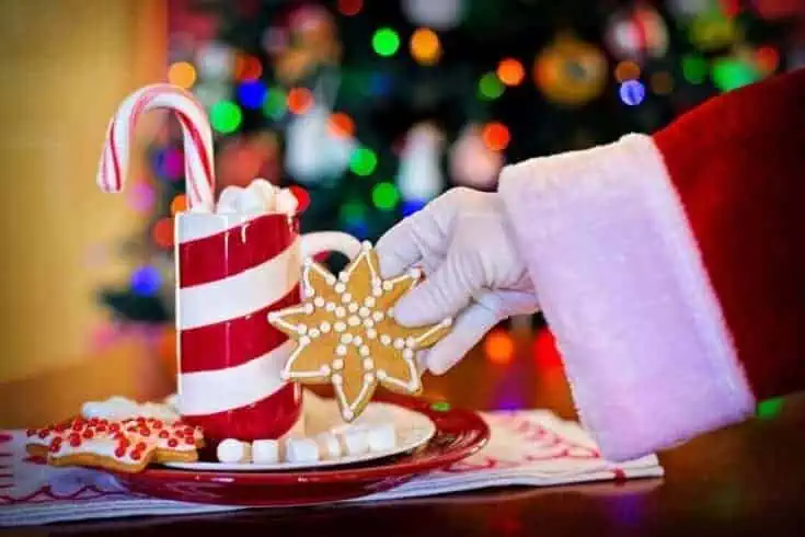 30 Fun Facts About Christmas 31 30 Fun Facts About Christmas 30