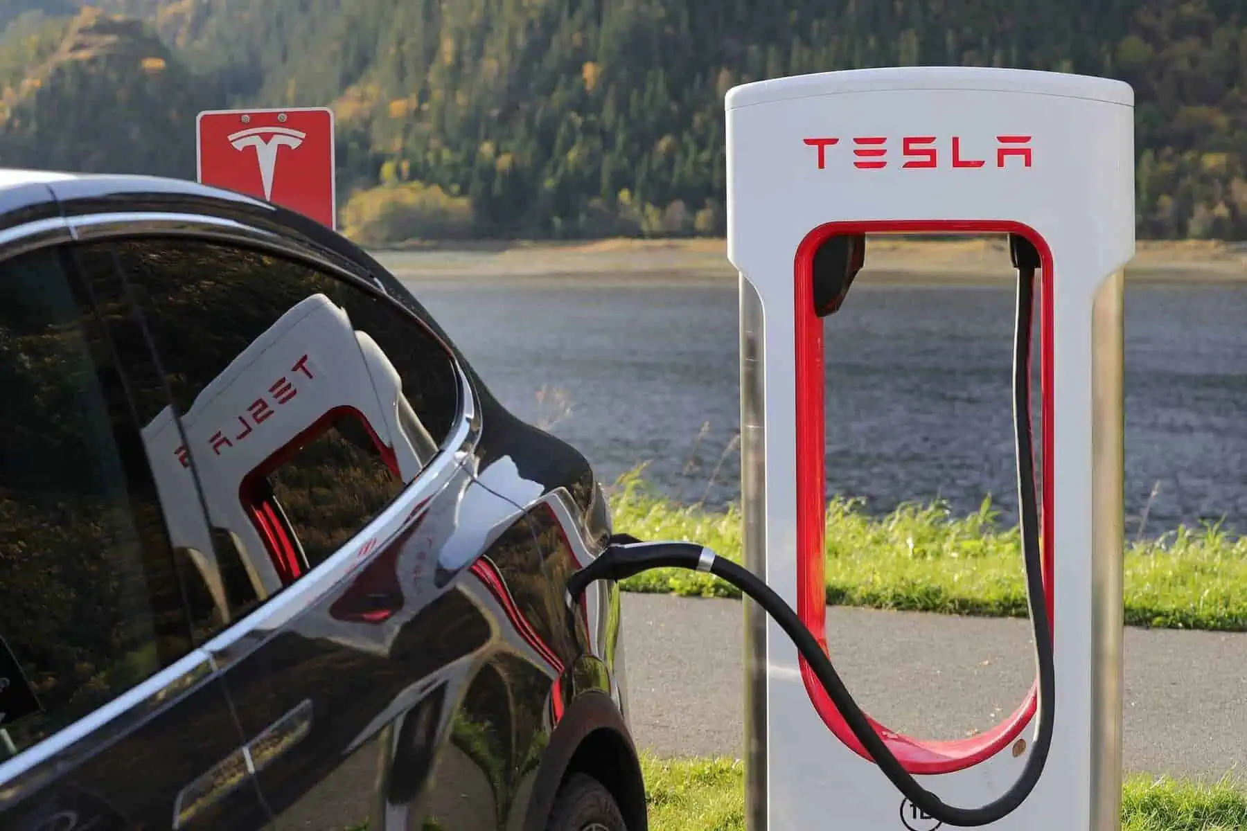 11 Amazing Facts About Electric Cars 7 Tesla Has Unveiled a Fresh Feature to Keep Animals Cool