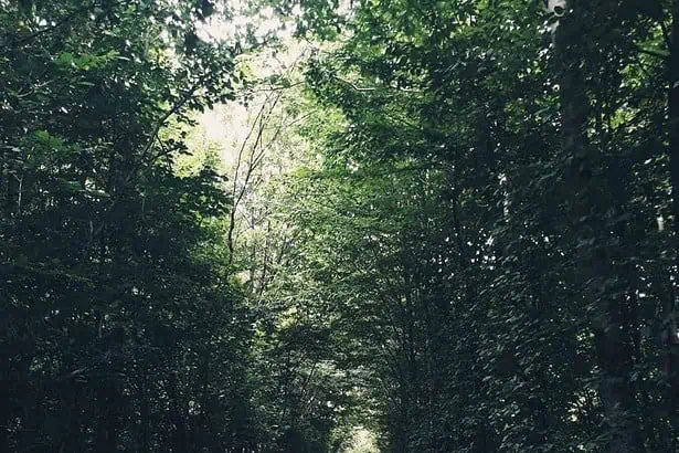 tunnel of love ukraine