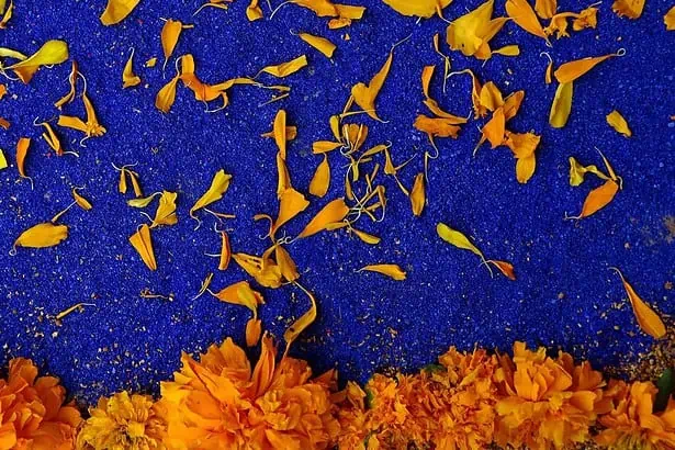day of the dead flowers