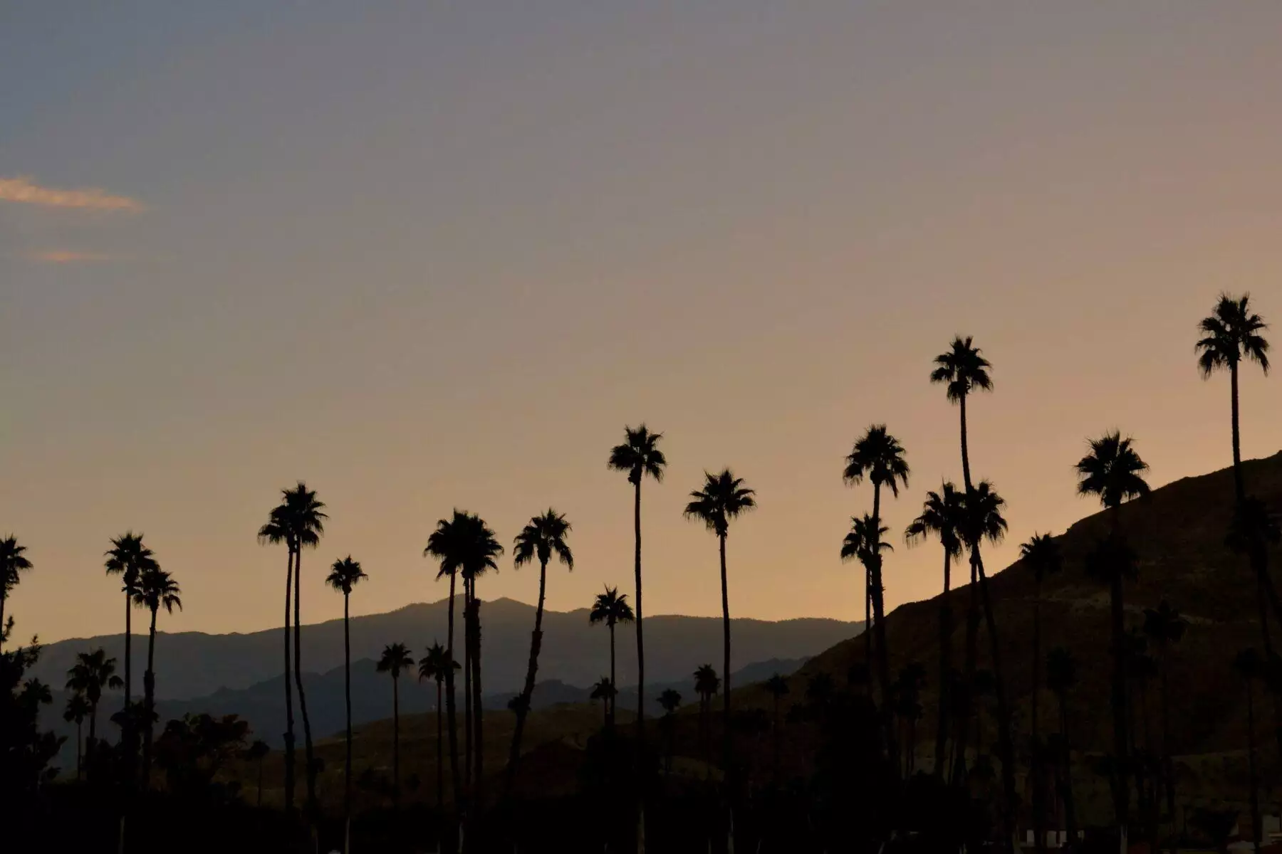 8 Fascinating Things to Do in Palm Springs 5 things to do in palm springs