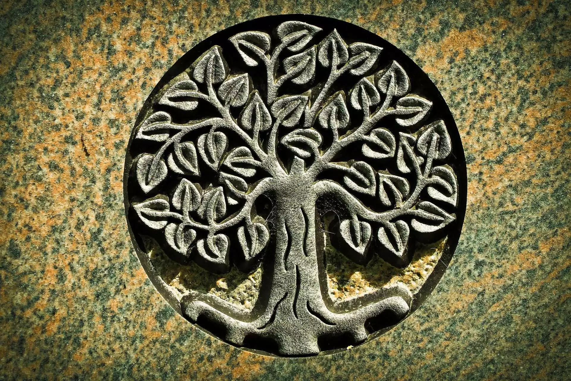 What is the Tree of Life? 7 Cultures You Should Know 3 What is the Tree of Life? 7 Cultures You Should Know 1
