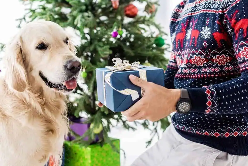 Great gift ideas for holidays.
