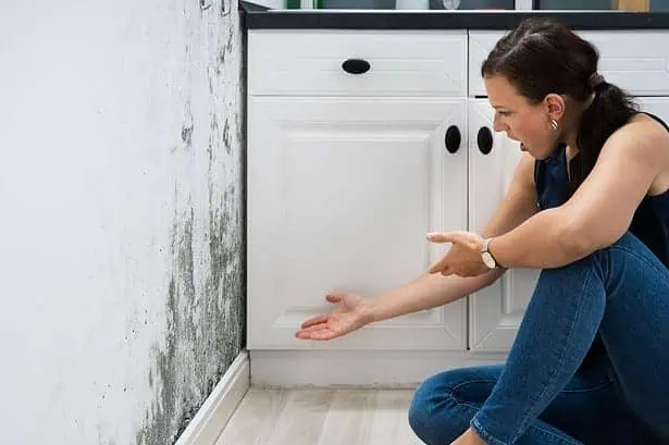 Woman Looking At Mold Wall Damage At Home.