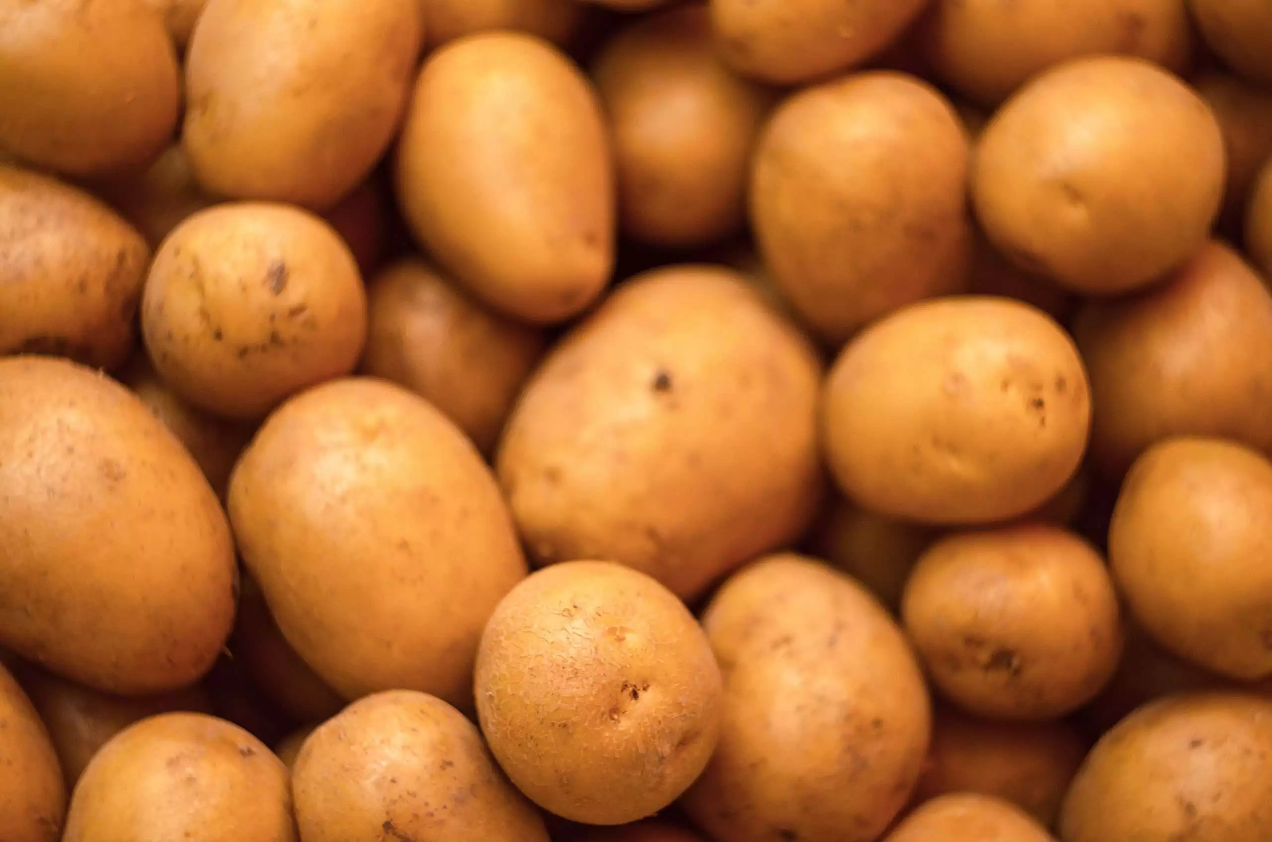 How to Tell If A Potato Is Bad: 8 Facts to Know 1