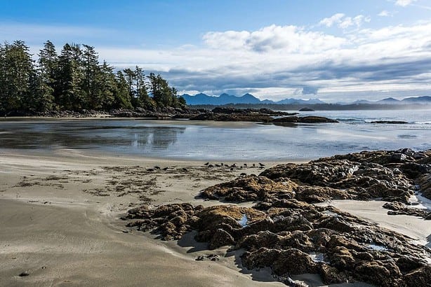 tofino beaches