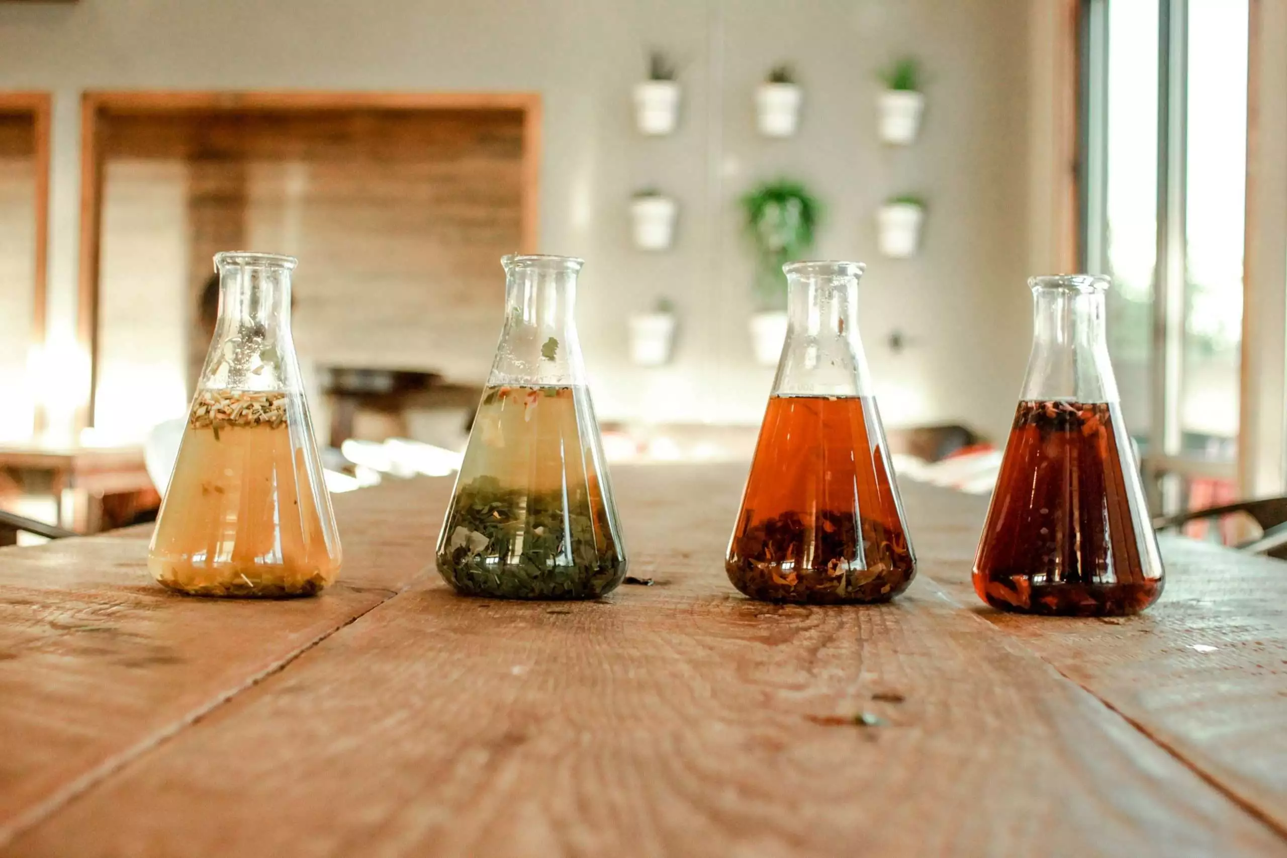 what is ginger beer ?
