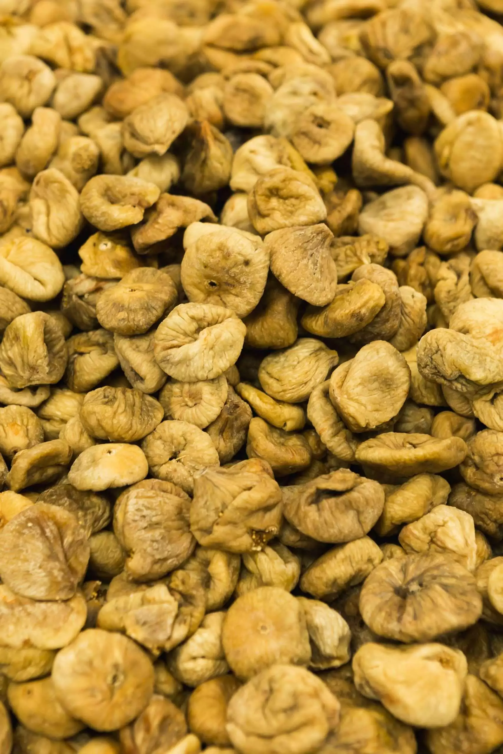 freeze dry food