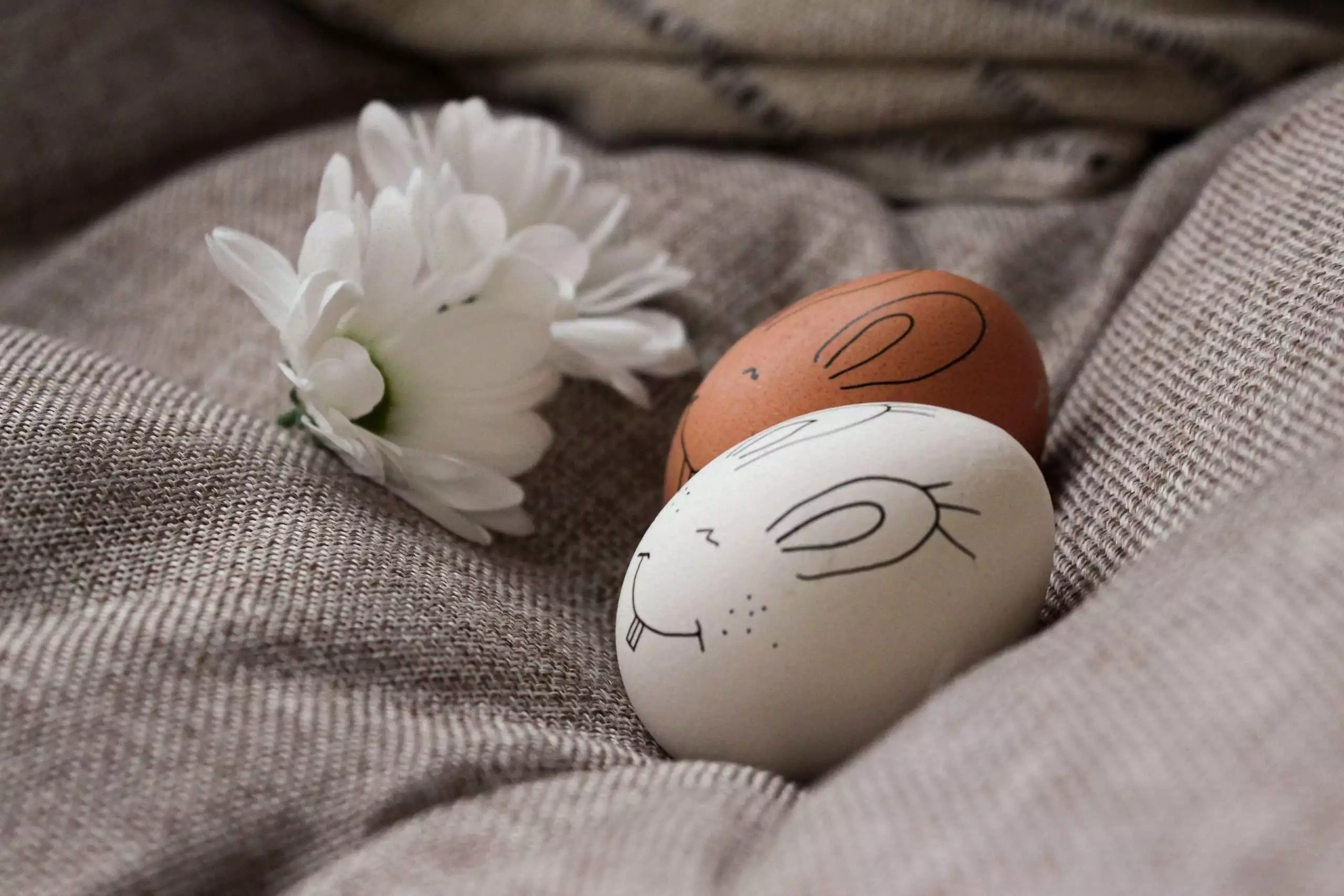 Difference Between Brown And White Eggs: 6 Facts to Know 6 white and brown egg