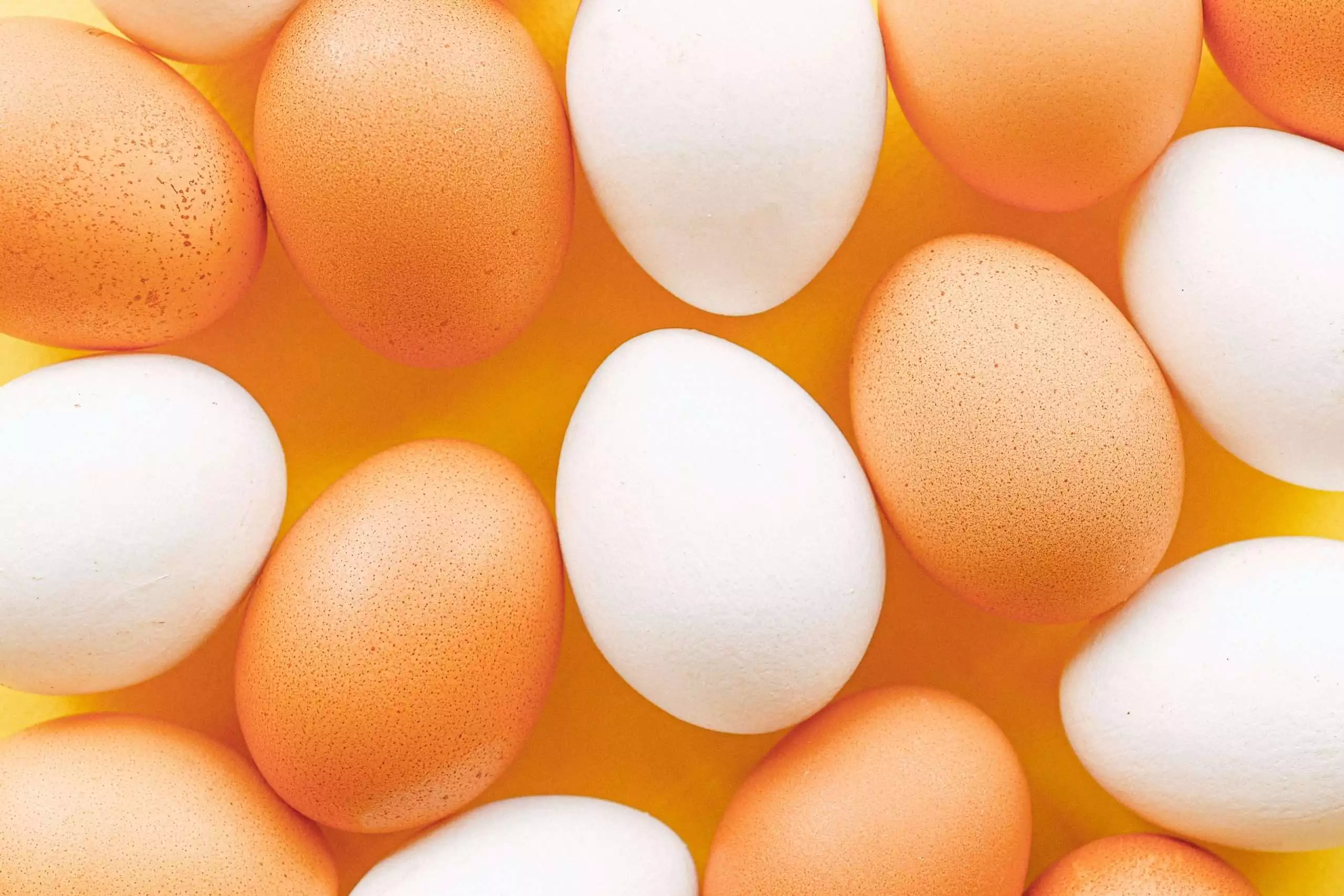 difference between brown and white eggs