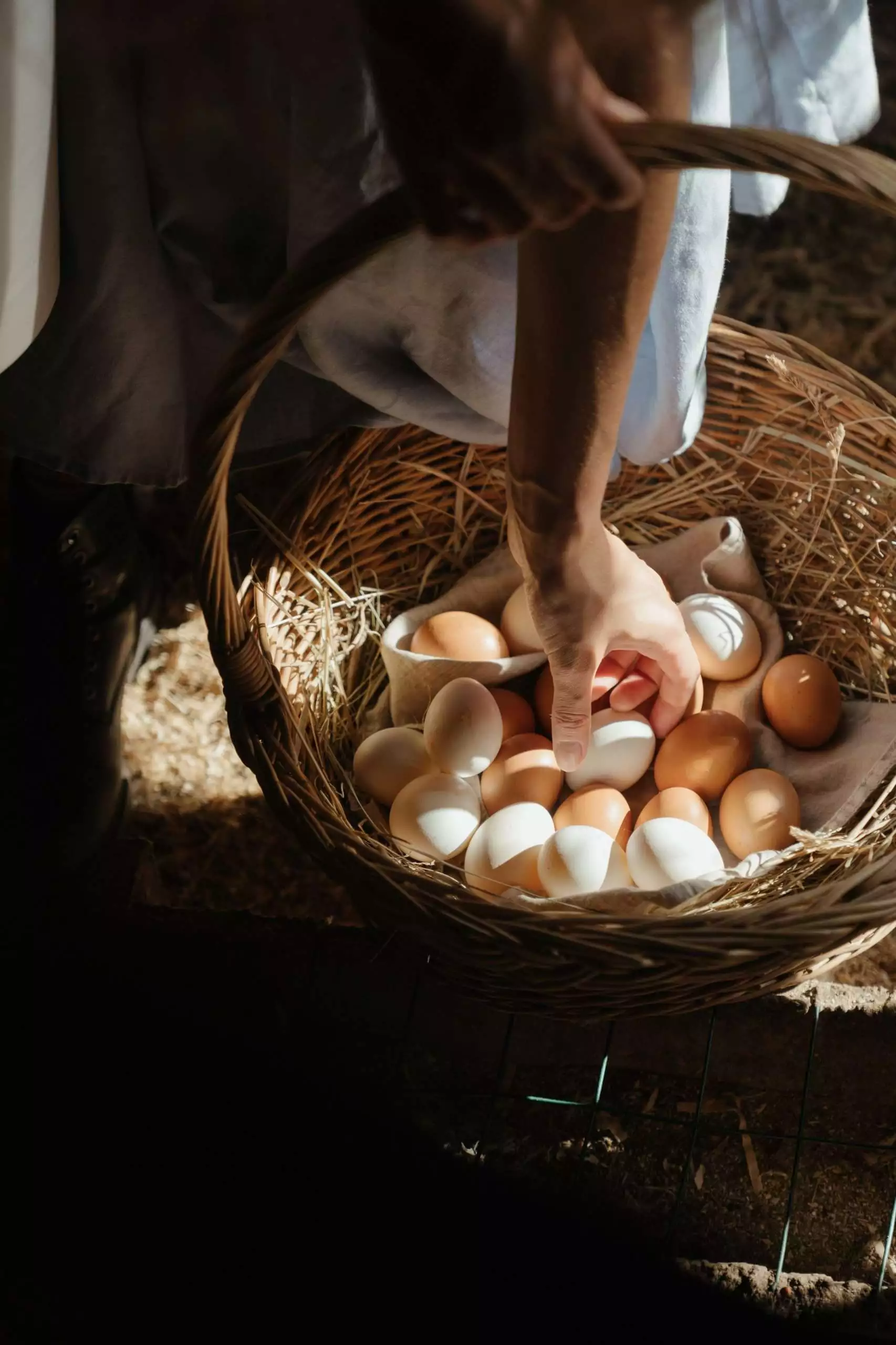 Difference Between Brown And White Eggs: 6 Facts to Know 2 difference between brown and white eggs
