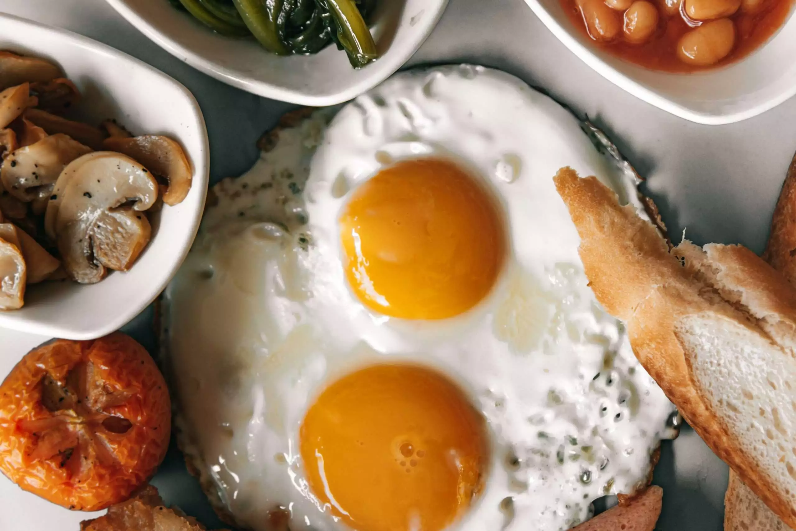 Difference Between Brown And White Eggs: 6 Facts to Know 7 difference between brown and white eggs