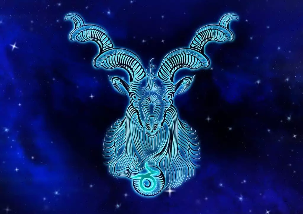 Capricorn zodiac