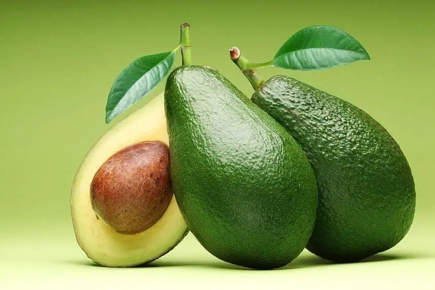 4 Simple Methods of Growing Avocado From Seed 1 Avocado Fruits with seeds