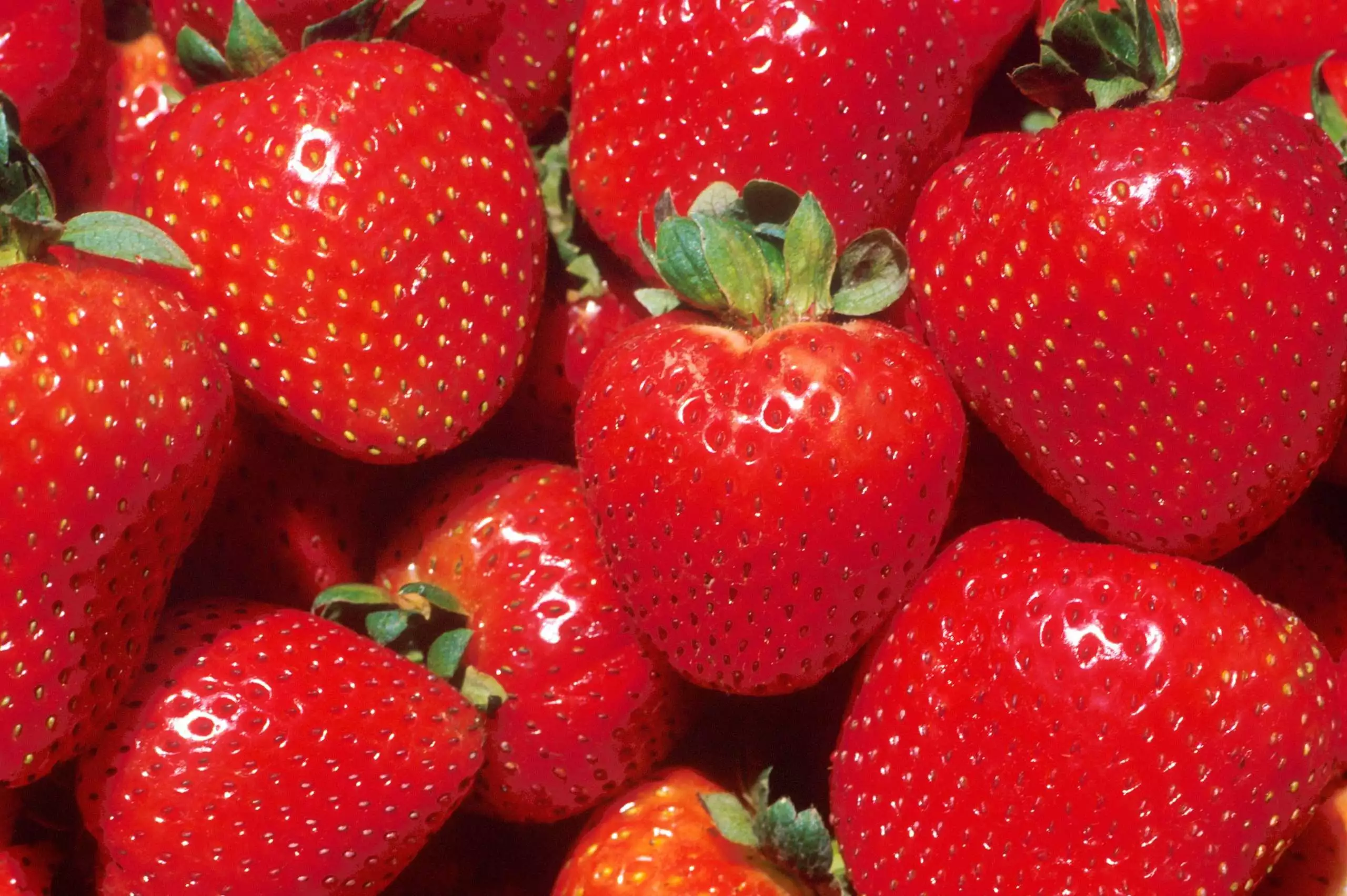 How to Grow Strawberries: Know the 31 Simple Steps 1