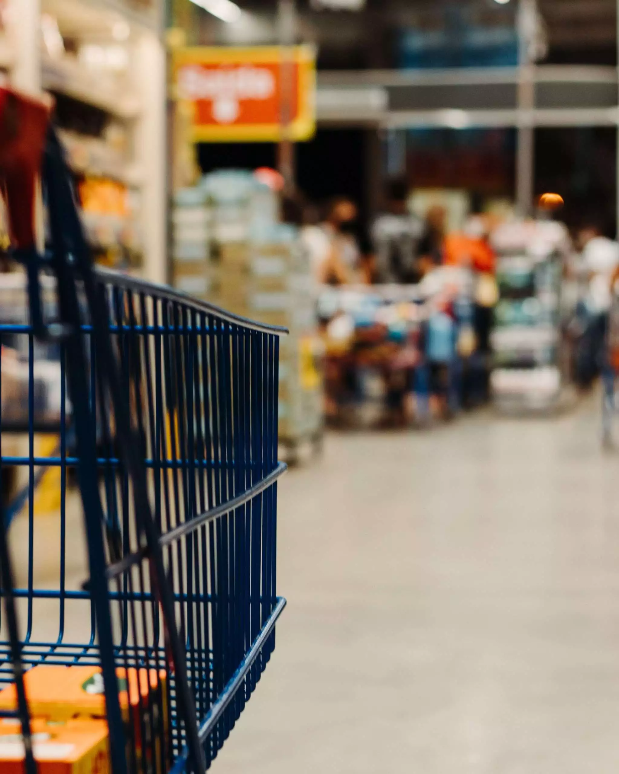 What Can You Buy With Food Stamps: Top 7 Items 1