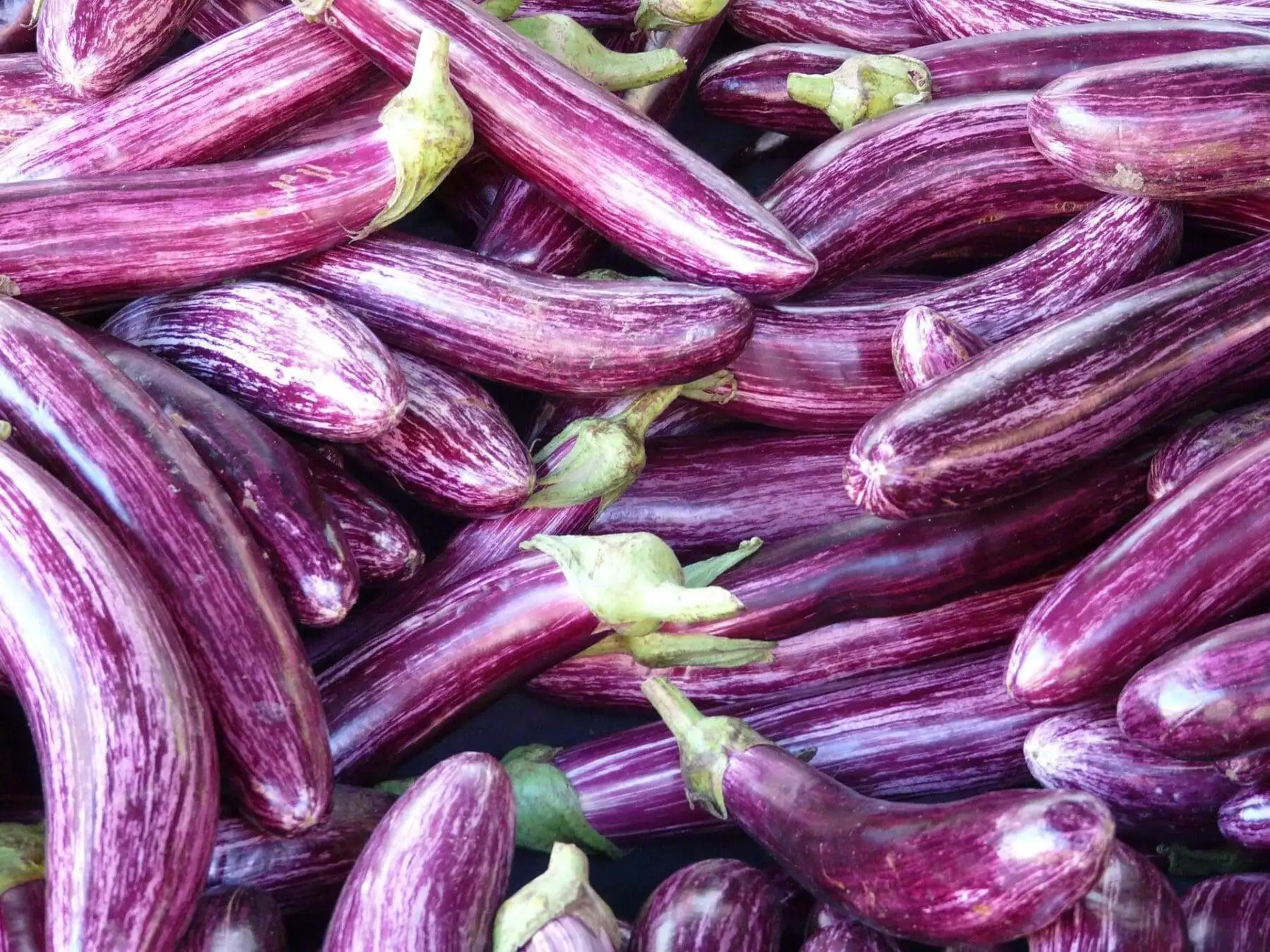 What are Nightshades? 4 Incredible Health Benefits 6 What are Nightshades? 4 Incredible Health Benefits 5