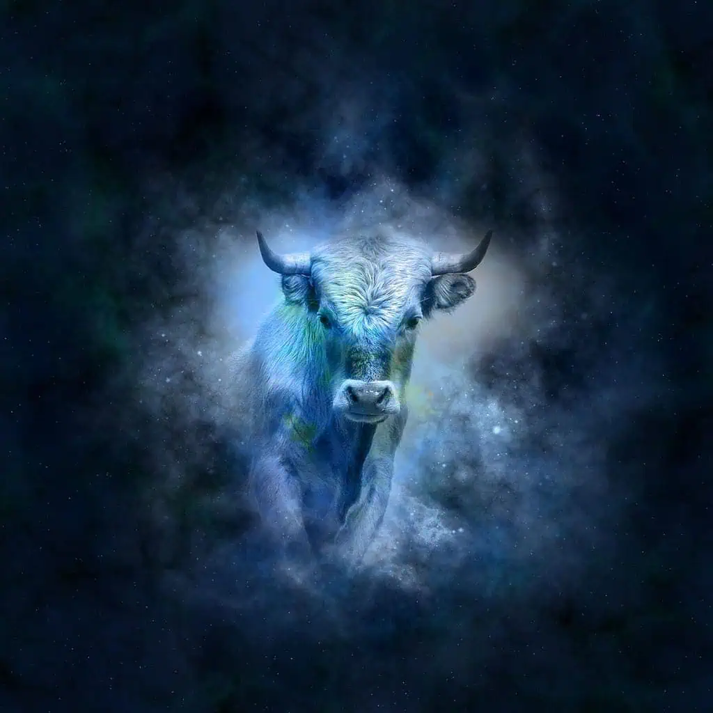 The Most Dangerous Zodiac Sign - All 12 Signs Ranked! 12 Taurus
