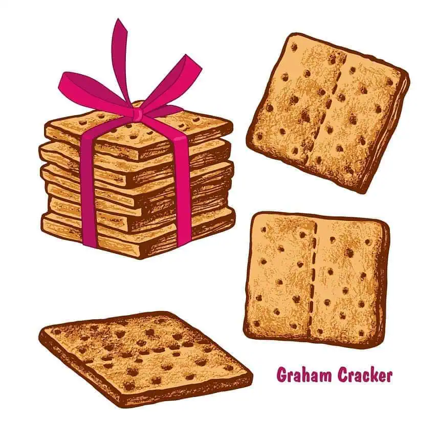Why Were Graham Crackers Invented? Know the Story 1