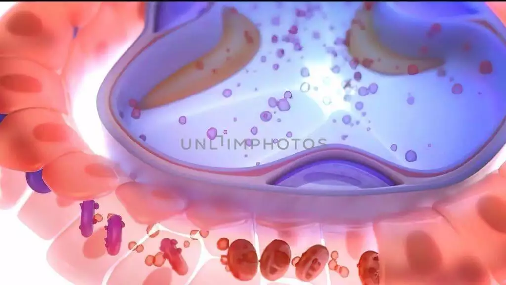 how to increase blood oxygen level