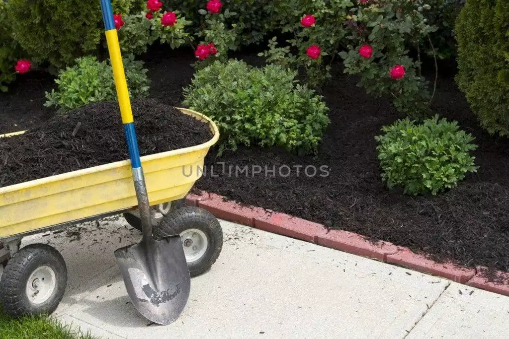 How to Kill Weeds Naturally.