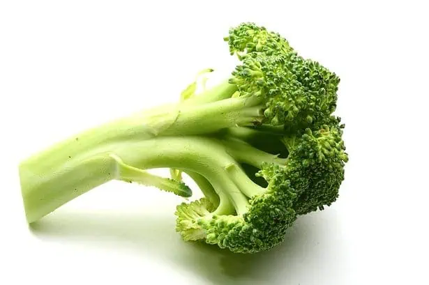 How to grow broccoli