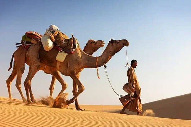 The Great Indian Desert: 11 Interesting Things To Know 2