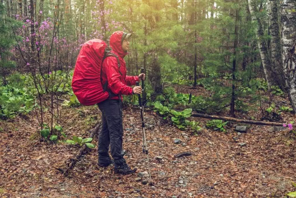 How Long Should You Wait Before Hiking After Rain? 2 hiker tourist travels to green mountain forest in the fog with the red backpack in rainy weather