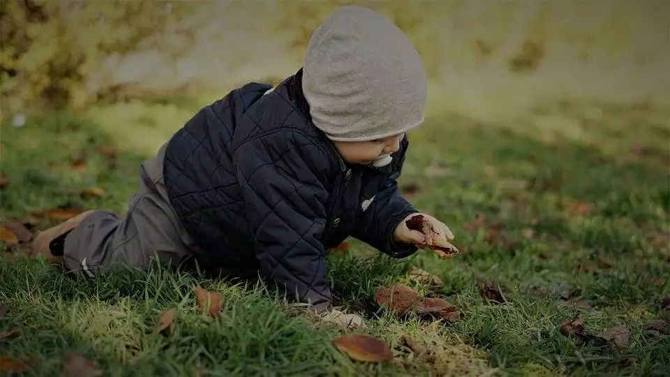 when do babies start crawling