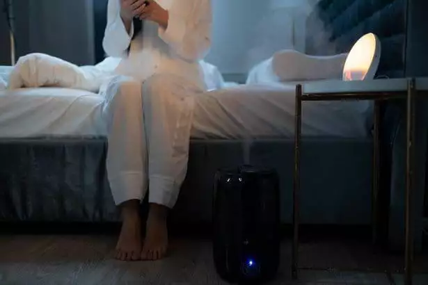 what does a humidifier do