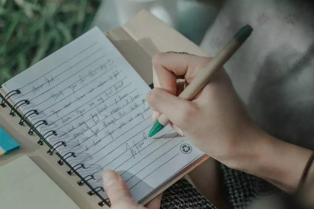 journal for mental health
Somatic narcissism 