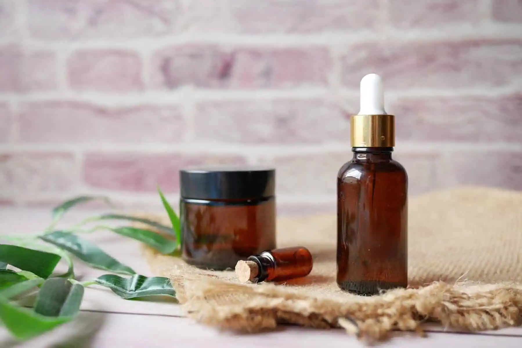 How to Get Rid of Cockroaches? 10 Effective Methods to Try 5 How to Get Rid of Cockroaches? 10 Effective Methods to Try 4