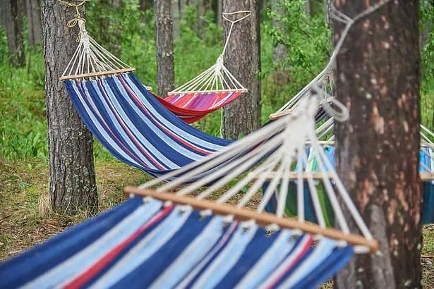 Hammocks hanging between trees in a lush green forest, perfect for relaxing outdoors.