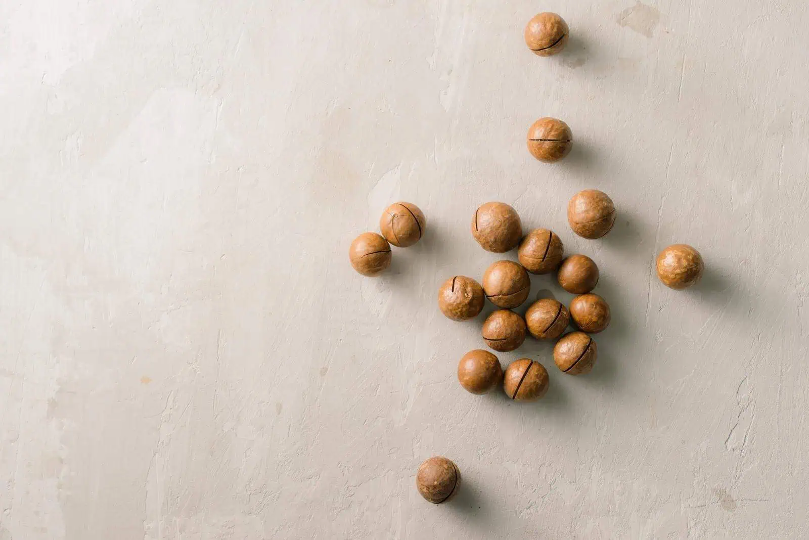 Are Macadamia Nuts Healthy 3