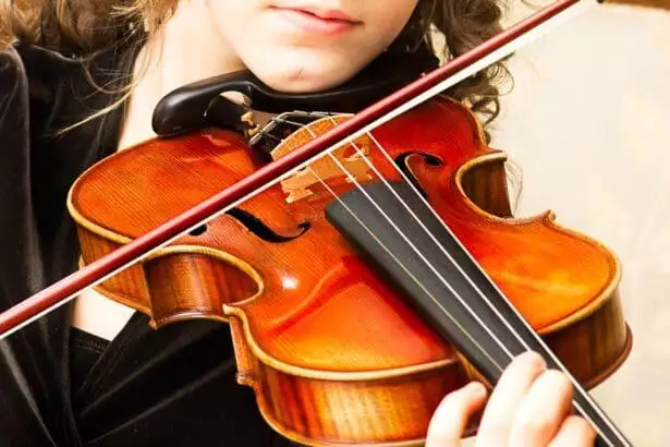 fiddle vs violin