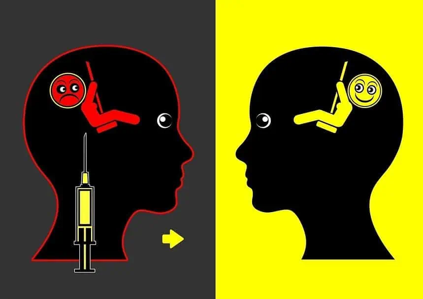 Science Behind Anti-Anxiety Properties in Cake Disposable 1 Anti anxiety.