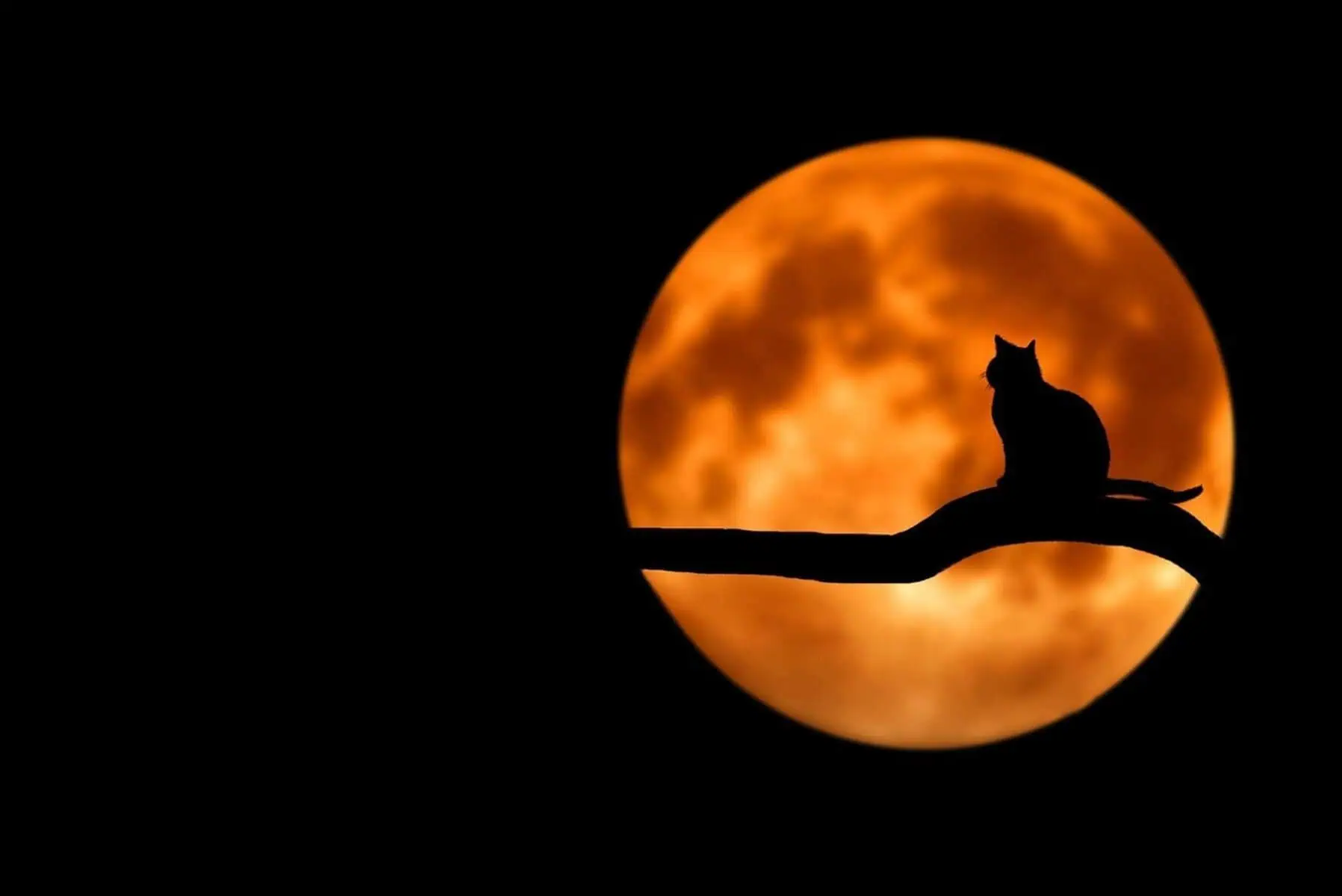 What Would Happen if the Moon Exploded? 4 red moon