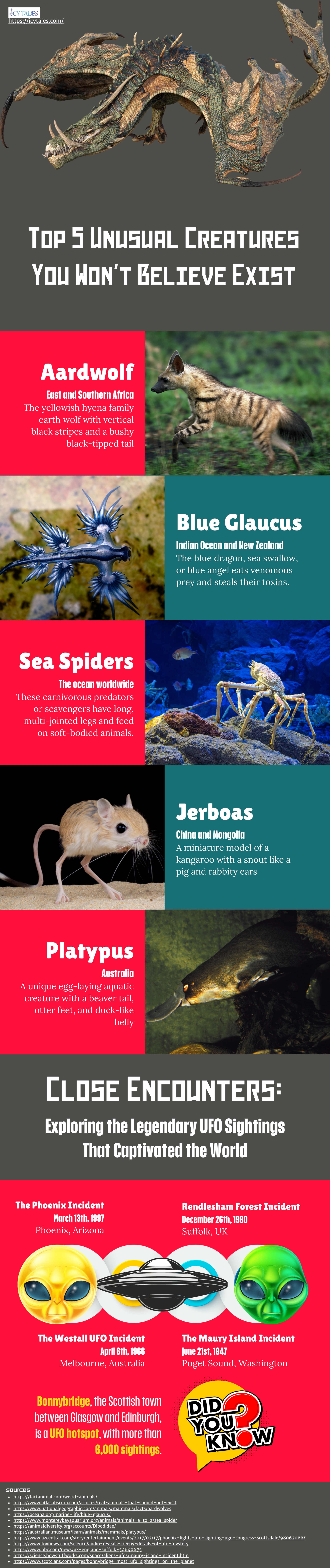Top 5 Unusual Creatures You Wont Believe Exist